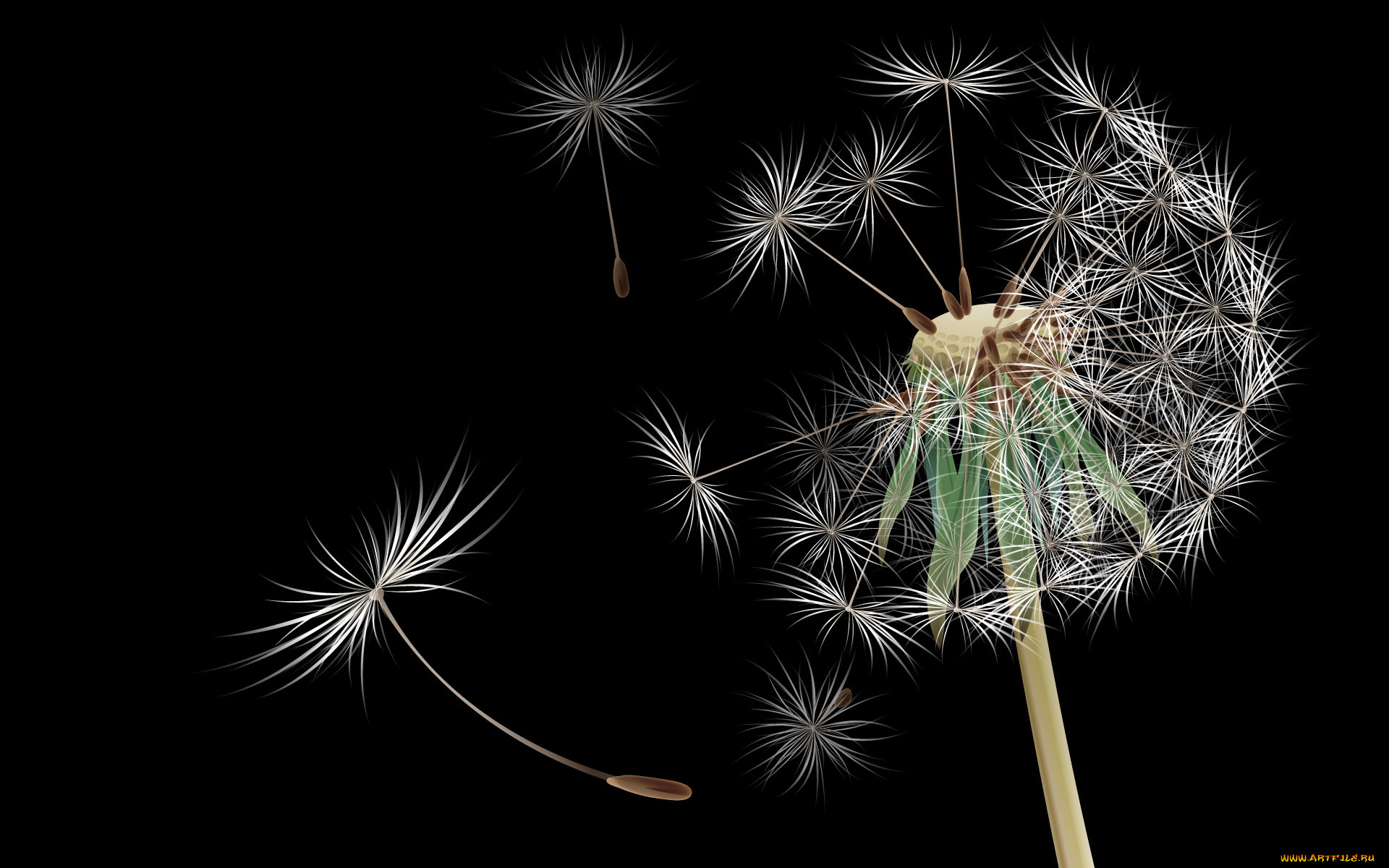 3, , flowers, 
